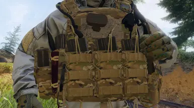 Crye CPC 装具