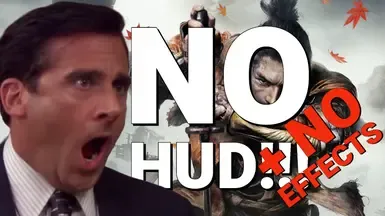 无-HUD-无-特效