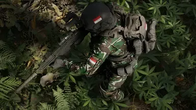 印度尼西亚模组包 TNI 和 Kopassus