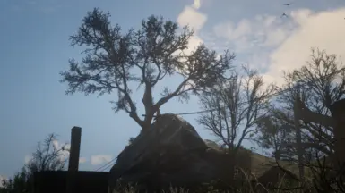 trailer 2 van horn tree