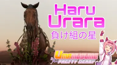 各地失败者中的耀眼之星