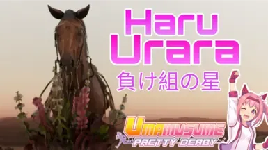 各地失败者中的耀眼之星