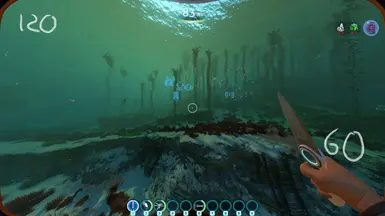 FOV 控制器