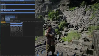 Live Transmog - 运行时护甲外观切换 (BETA)
