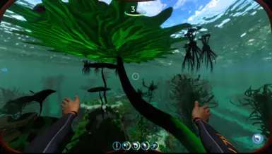 Kelp Forest Enhanced