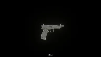Jager 45