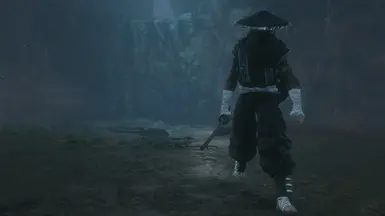 流浪者修复