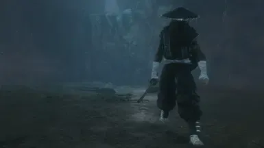 流浪者修复