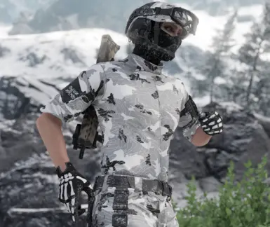 苔原迷彩 MW3 和 武器迷彩