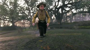 荒野大镖客:救赎2 重制版 - 极致视觉保真度(RDR2 照片级 Reshade)