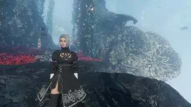 2B 梅尔