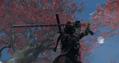 Akujiki kusabimaru 替换