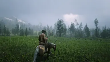 Neovivid RDR2