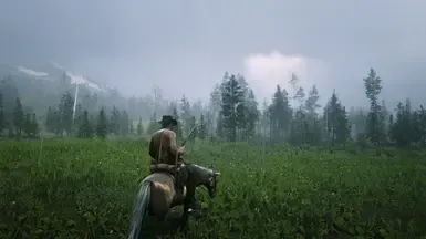 Neovivid RDR2
