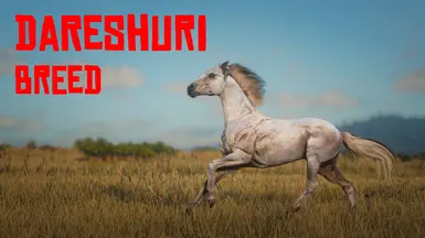 达雷叙里马品种