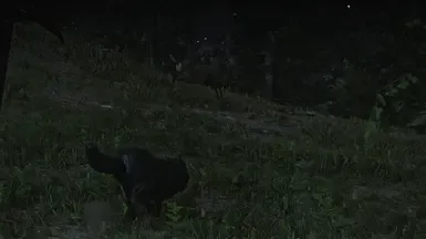 黑狼