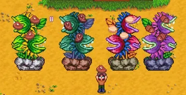 SNES 食肉植物 肉树 用于畜牧业