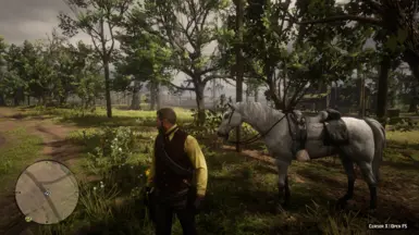 RDR2 存档 - 闪亮的一切