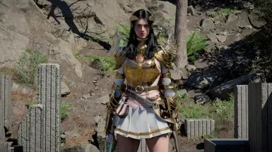 Light of the Battlefield Cloth Cloak Double Eagle Wings Edition