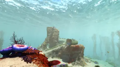 浑浊的水域