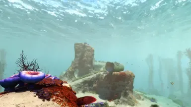 浑浊的水域
