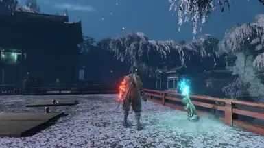 DS3 奴仆兜帽(带物理效果)