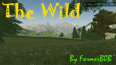The Wild