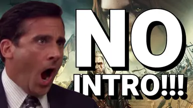 No-Intro（跳过启动 - 开场视频）