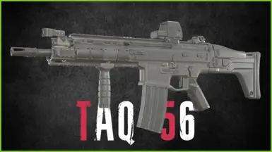TAQ-56