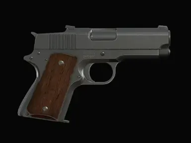 Detonics .45