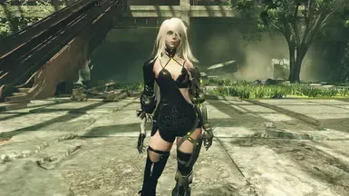 盖尔 A2