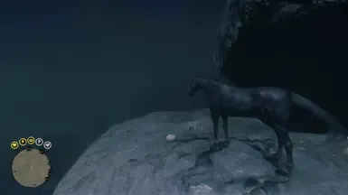 Raven Black Turkoman 外套