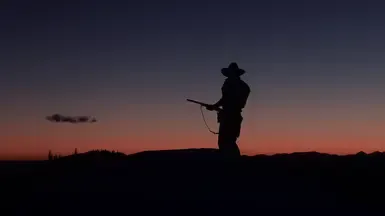 SgtFolgers Reshade