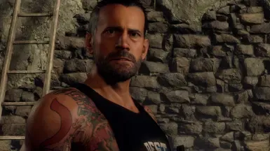 CM Punk (WWE 2K25)