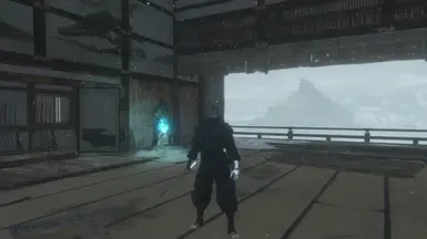 沃尔夫·银手