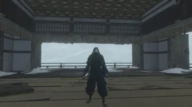 少林之狼