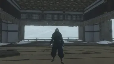 少林之狼