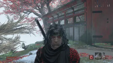 狼之宇智波 黑与白