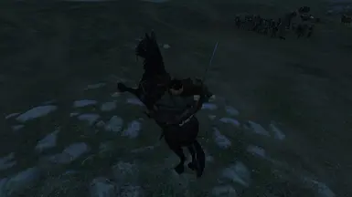 2H 剑的握柄类似 Warband 的混种剑