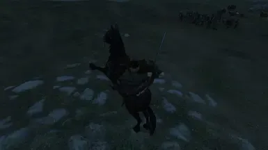 2H 剑的握柄类似 Warband 的混种剑
