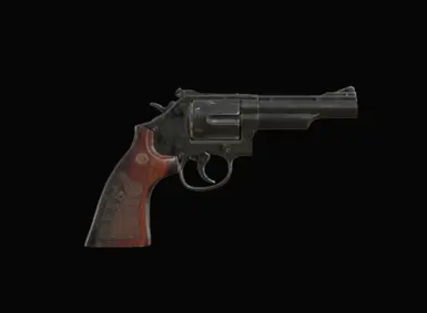 SW Model 19