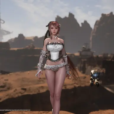 EVE 蕾丝束腰