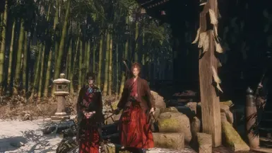 NPC 布料物理
