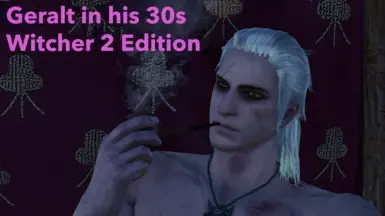 30多岁的杰洛特 巫师2版