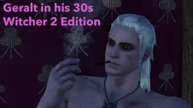30多岁的杰洛特 巫师2版