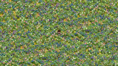 更多草地