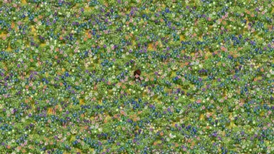 更多草地