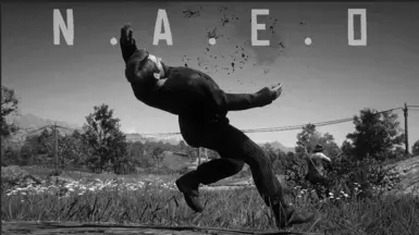 N.A.E.O - 新奥斯汀狂喜改造