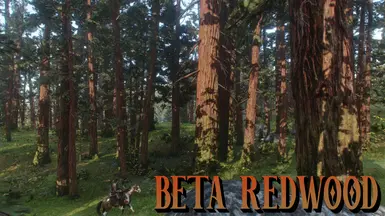 Beta 红木纹理