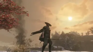Ronin Sekiro 2.0 (物理斗篷)